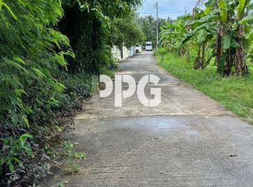 Phuket, ,Land,For Sale,2195 Phuket, ,Land,For Sale,2195