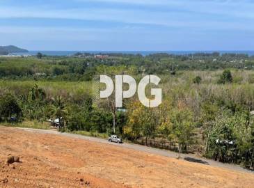 Phuket, ,Land,For Sale,2201 Phuket, ,Land,For Sale,2201