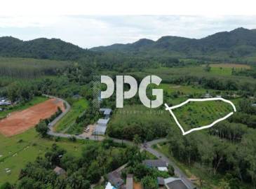 Phuket, ,Land,For Sale,2214 Phuket, ,Land,For Sale,2214